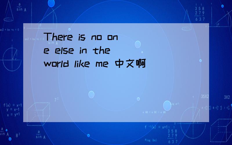 There is no one else in the world like me 中文啊