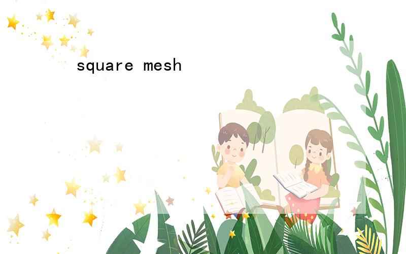 square mesh