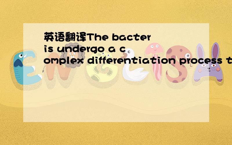英语翻译The bacteris undergo a complex differentiation process that culminates in the formation of endospores.