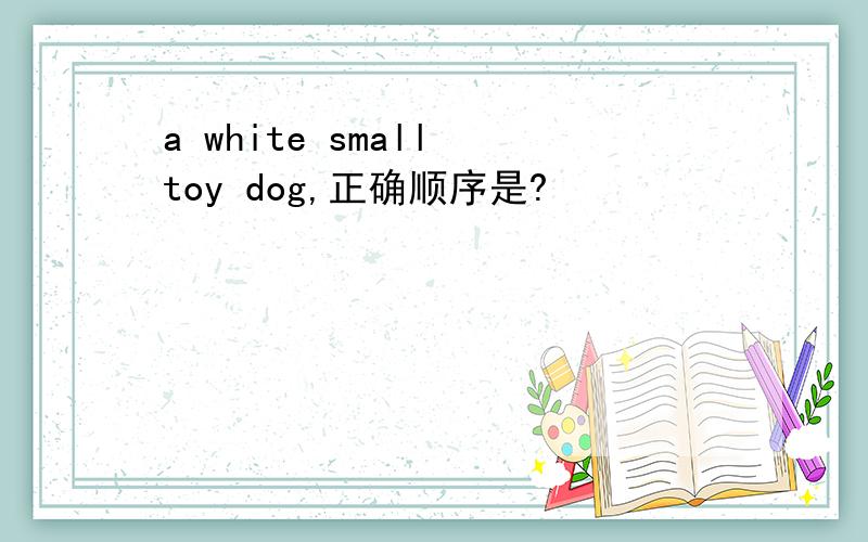 a white small toy dog,正确顺序是?