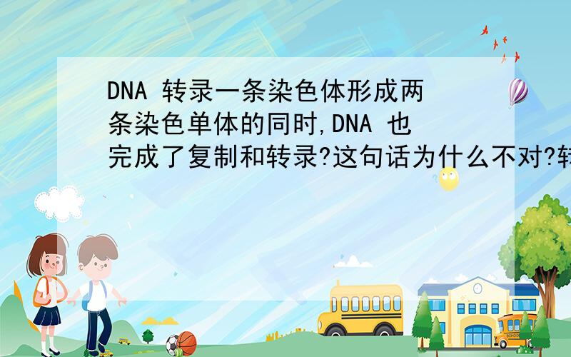 DNA 转录一条染色体形成两条染色单体的同时,DNA 也完成了复制和转录?这句话为什么不对?转录和翻译都发生在什么时期?