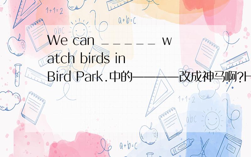We can _____ watch birds in Bird Park.中的————改成神马啊?HELP!