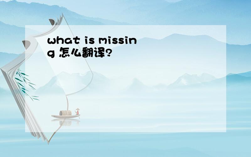 what is missing 怎么翻译?
