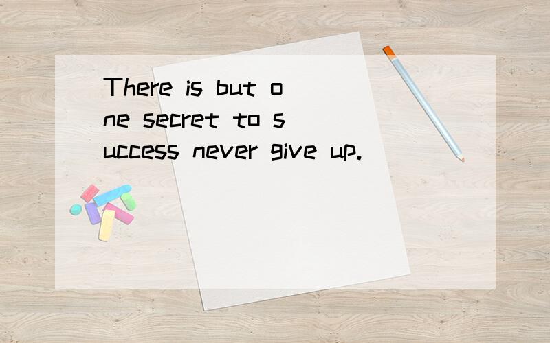 There is but one secret to success never give up.