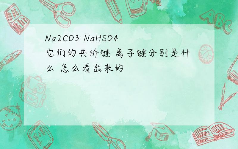 Na2CO3 NaHSO4 它们的共价键 离子键分别是什么 怎么看出来的
